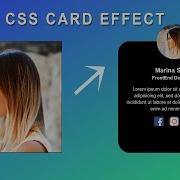 CSS Card Hover Effect Profile Card Hover Effect Using HTML And CSS