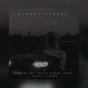 Bushido Zho Scally Milano Полка Днями и ночами Slowed Reverb