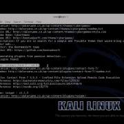Tool Review WPScan Wordpress Vulnerability Scanner