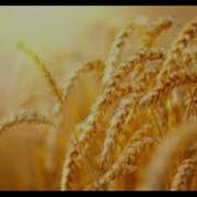 Sting Fields Of Gold EXTENDED VERSION