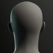 The Perfect Face