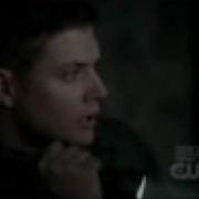 Supernatural Dean Vs Cat