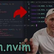 Пробовали ли вы запустить Jupyter Notebook в Neovim