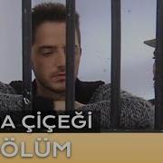 Sevda Çiçeği 22 Bölüm