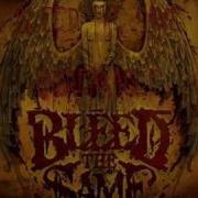12 Sheer Raping EarGasmic Brutal Breakdowns New 2009