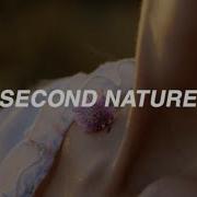 Vietsub Lyrics Clairo Second Nature
