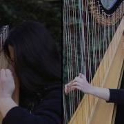 Napalm Death You Suffer Amy Turk Harps HARP GRINDCORE