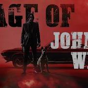 RAGE OF JOHN WICK Raga Of Revenge John Wick Anirudh Edit DC