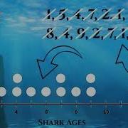 Represent Data Dot Plots 3rd Grade
