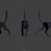 Cat Walk Cycle Test