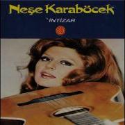 Neşe Karaböcek Boş Gönül Kuşsuz Kafes