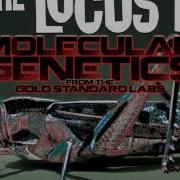 Twenty Three Lubed Up Schizophrenics REMASTERED HQ With Lyrics The Locust