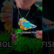 World S First REAL Hologram Fish Tank