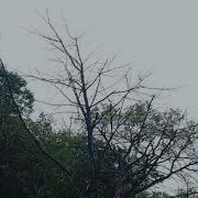 Sadness Rain Full Album
