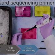 How To Perform Sanger Sequencing