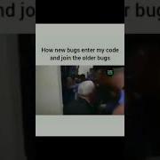 Programming Bugs Meme