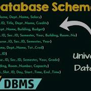 Database Schema