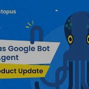 How View Your Page As A User Agent In JetOctopus