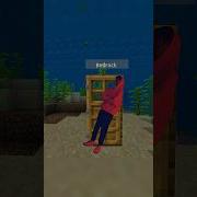 Minecraft Java Vs Bedrock Shorts Minecraft Minecraftshorts