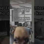 When You Are In Internship Shorts Programming Coding Funny