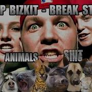 Limp Bizkit Break Stuff Animal Cover