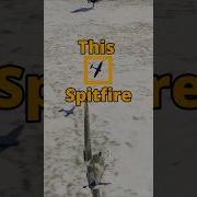 Spitfire Showdown With Reload54 Dcs Ww2