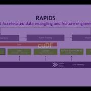 High Performance Data Science With RAPIDS