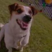 Sun Microsystems Java That Damn Dog Commercial