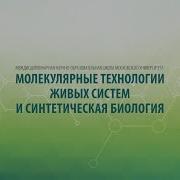 Метод Patch Clamp раскрывает тайны ионных каналов нашего сердца