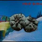Peyote Mescaline Trip Simulation POV