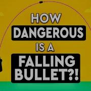 How Dangerous Is A Bullet Shot In The Air DEBUNKED