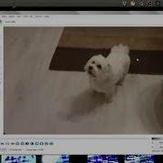 Datamoshing With Avidemux Datamosh Transition