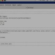 Python SQL Dumper How To Extract All Database Names