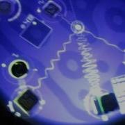 Whitney Brooke Shirley On The Reactable