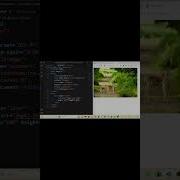 How To Give Linear Gradient In Css Radial Gradient Css Animation Shorts Short Viralshorts