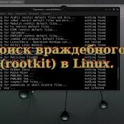 140 Поиск враждебного кода Rootkit в Linux