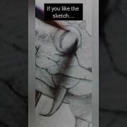 Venomous Python Sketch Trending Drawing Art Snake