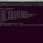 Linux Shell Scripting Sed Part 2