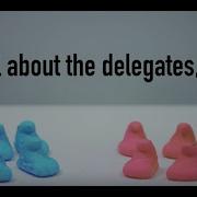 Everything You Wanted To Know About The Delegate Process As Explained With Peeps