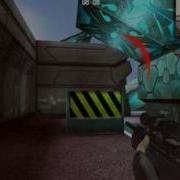 How Not To Be A Pro On Wolf Team