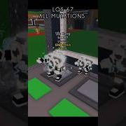 LOS 67 ALL MUTATIONS