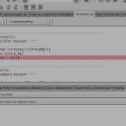 Inspecting Runtime State With Wing IDE