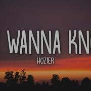 Hozier Do I Wanna Know Lyrics