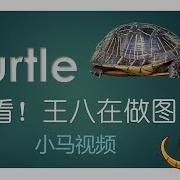 Python Turtle 快看 王八在做图