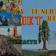 На земле лесов НЕТ ВСЕ ЧАСТИ