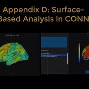 CONN Tutorial Appendix D Surface Based Analysis