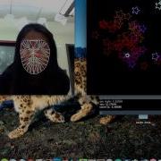 Face OSC Generating A Field Of Stars
