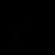 Muzzle Flash 14