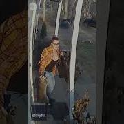 Heroic Mom Saves Terrified Five Year Old From Raccoon Attack USA TODAY Shorts