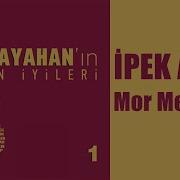 İpek Açar Mor Menekşe